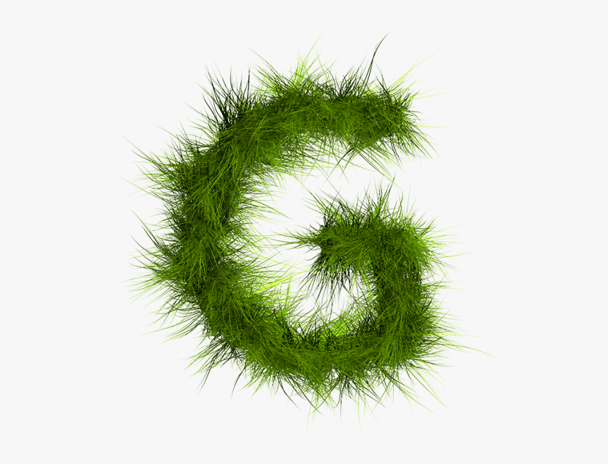 Grass Font, HD Png Download