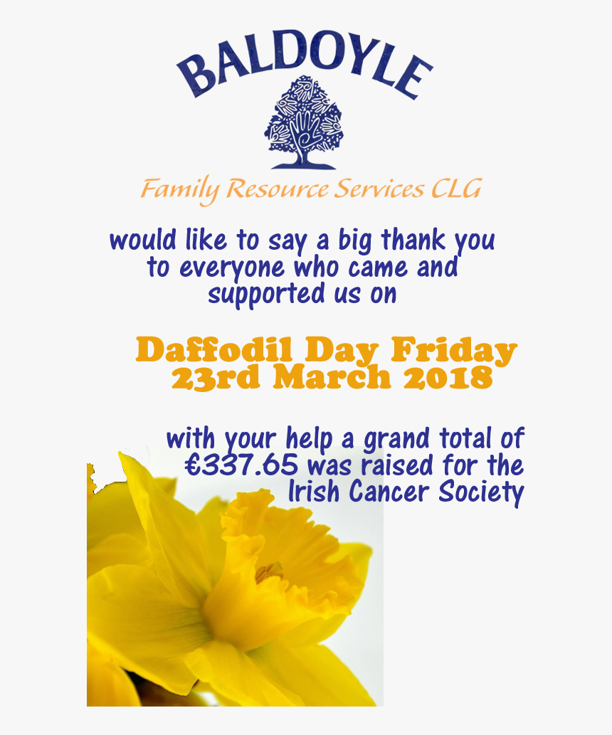 Daffodil Day 2018 Thank You - Herbaceous Plant, HD Png Download