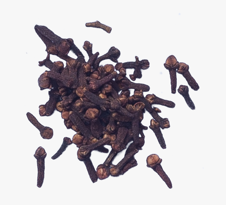Transparent Cloves Png - Chocolate, Png Download
