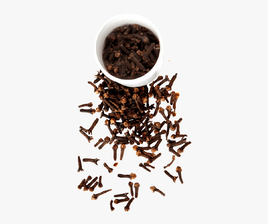 Top Quality Fresh Ceylon Spices Cloves From Sri Lanka - Transparent Clove Png, Png Download