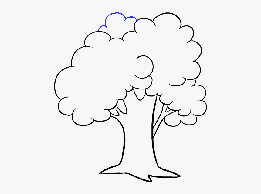 Clip Art Drawing Of A Tree - Drawing Picture Of Tree, HD Png Download
