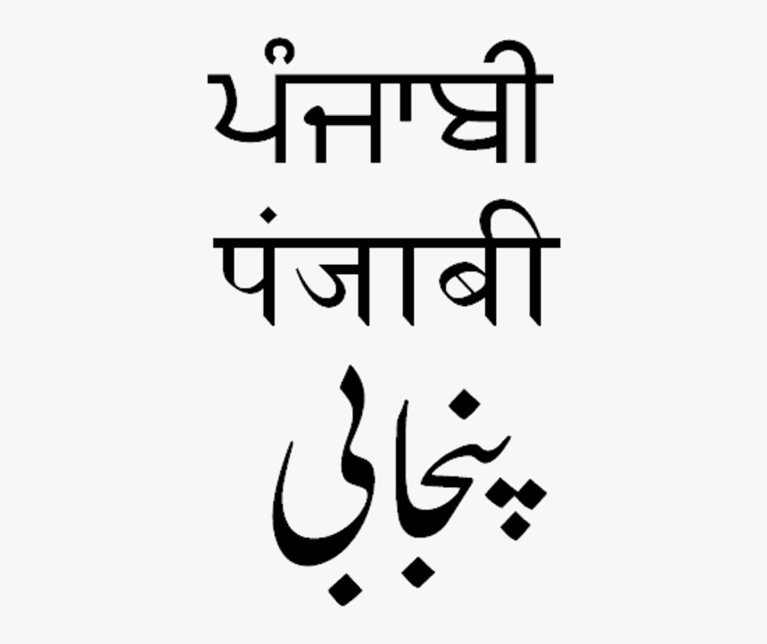 Punjabi Gurmukhi Shahmukhi Devanagari - Punjabi Skrift, HD Png Download
