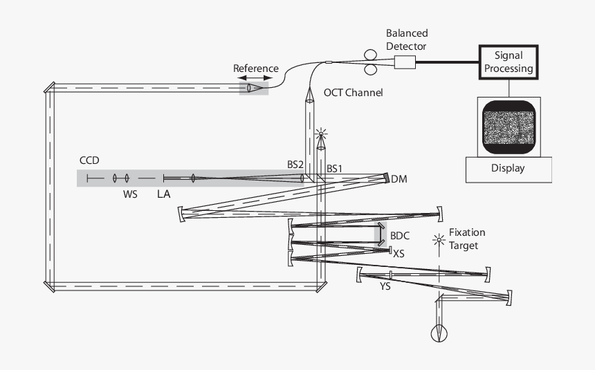 Diagram, HD Png Download