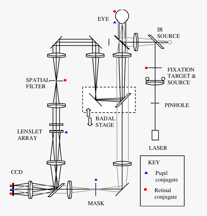 Diagram, HD Png Download
