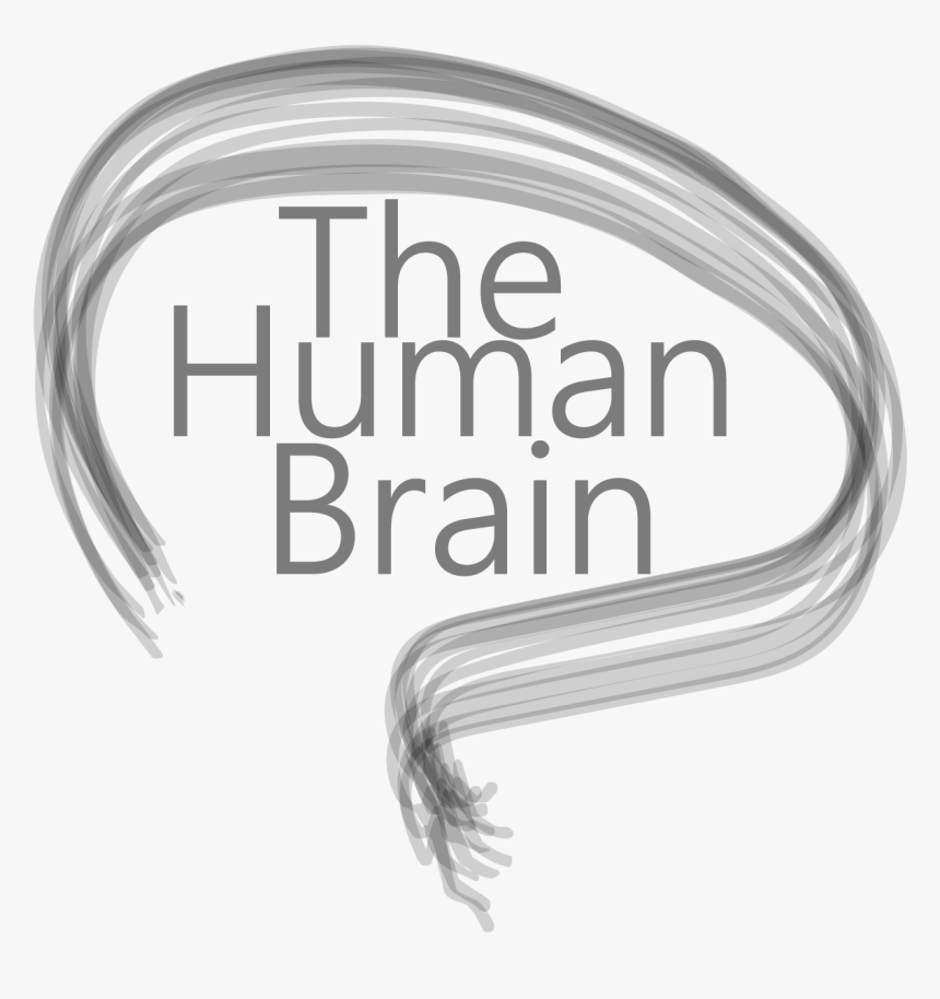 Calligraphy, HD Png Download