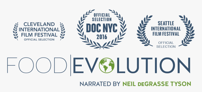 Film Festival, HD Png Download