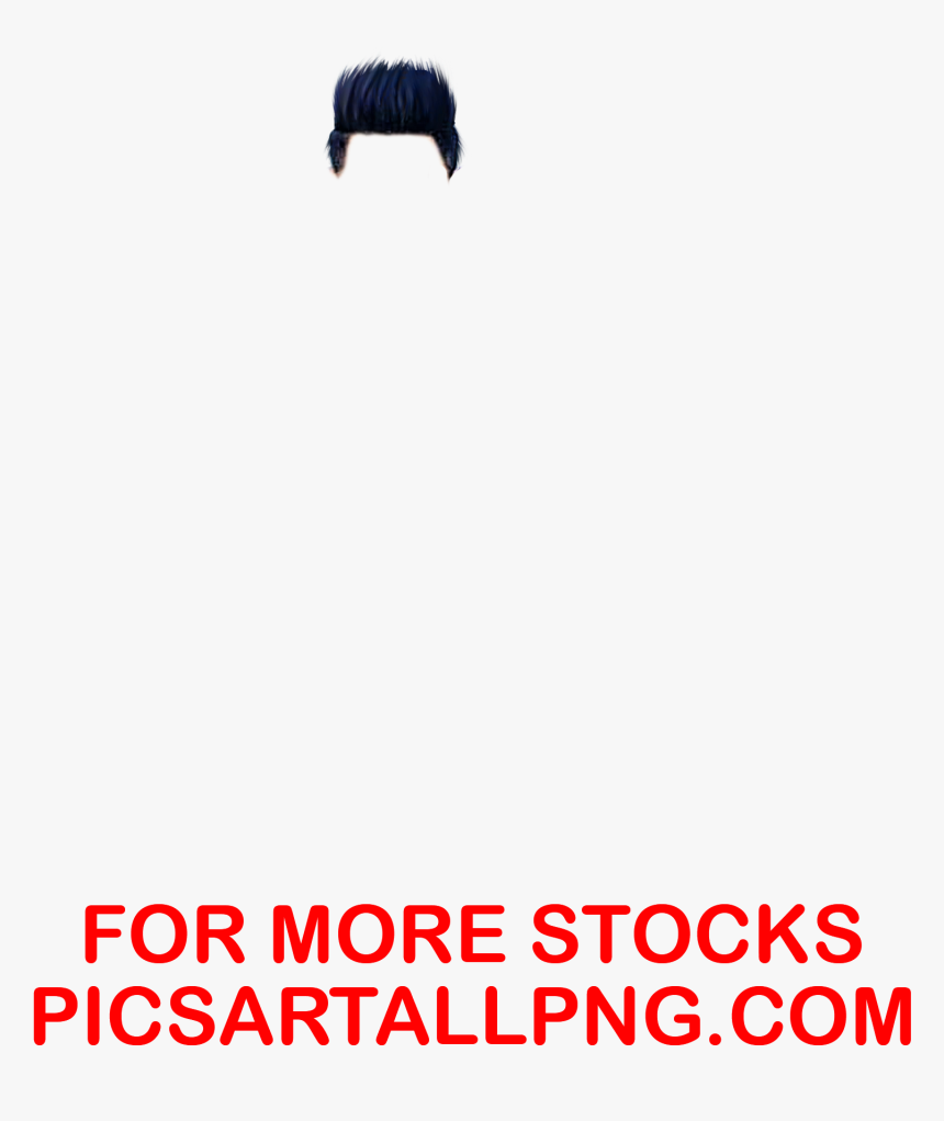Stallion, HD Png Download
