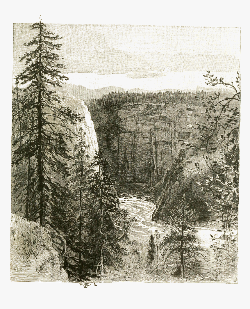 The Canon A Quarter Of A Mile Below The Grand Falls - Larch, HD Png Download