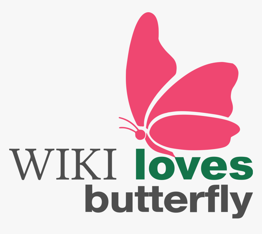 Logo Images Png Butterfly, Transparent Png