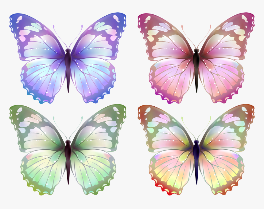 Butterfly Drawing Very Beautiful, HD Png Download