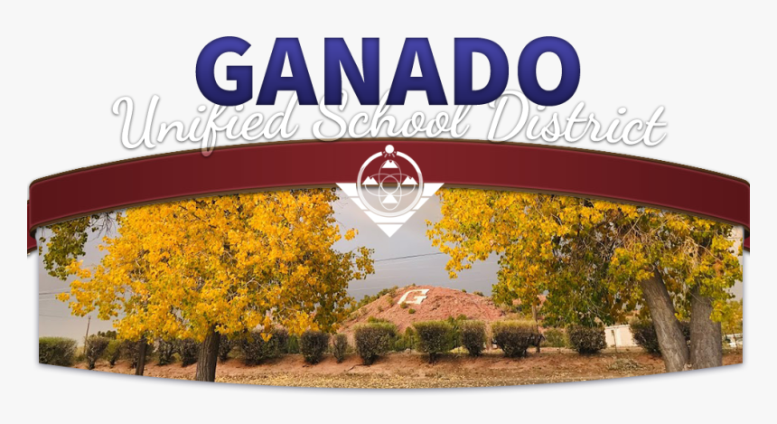 Ganado Unified School District - Tree, HD Png Download