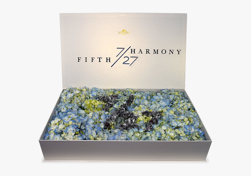 Forget-me-not, HD Png Download