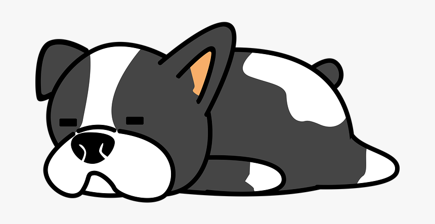 Boston Terrier, Dog, Pet, Companion, Domestic, Boston - Boston Terrier Sleeping Art, HD Png Download