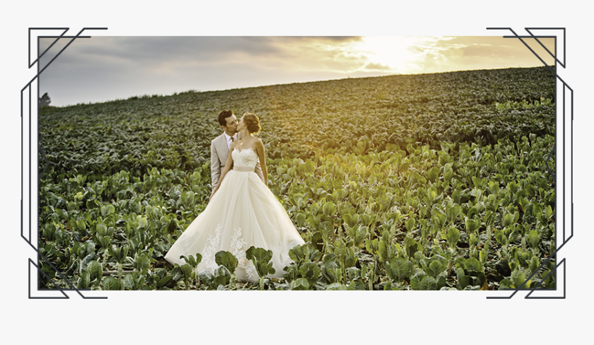 Photograph, HD Png Download