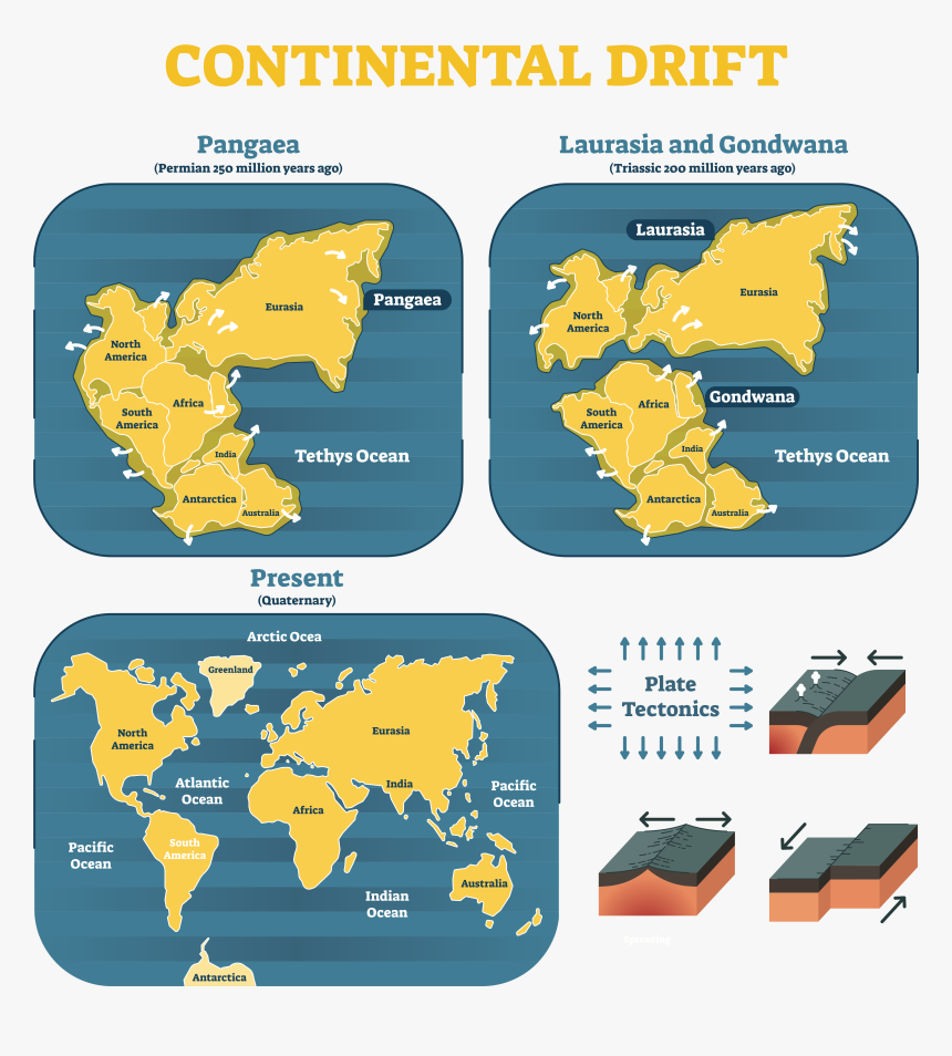 Continental Drift - Continental Drift Theory Model, HD Png Download