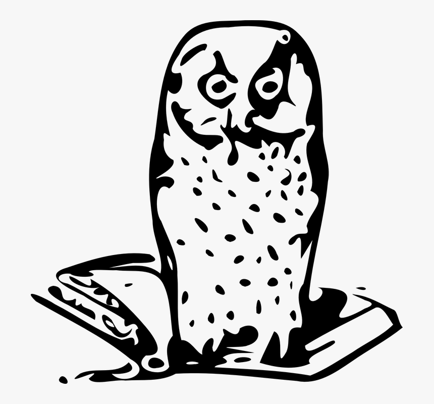 Owl, Wise, Wisdom, Wise Old Owl, Bird, Knowledge - Mądrość Png, Transparent Png