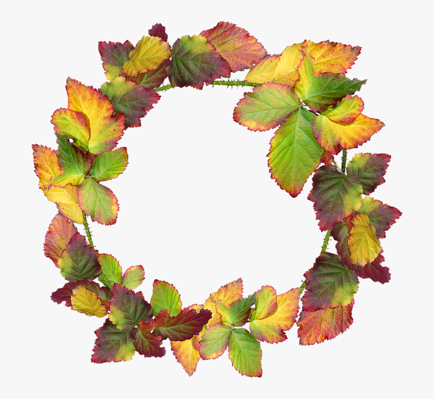 Wreath, Leaves, Autumn, Fall, Nature, Garden, Frame - Transparent Autumn Wreath Png, Png Download