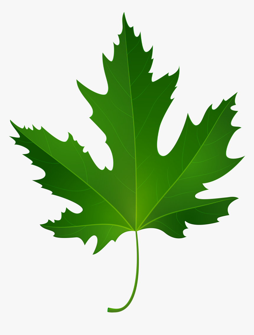 Maple Leaf Png Clip Art, Transparent Png