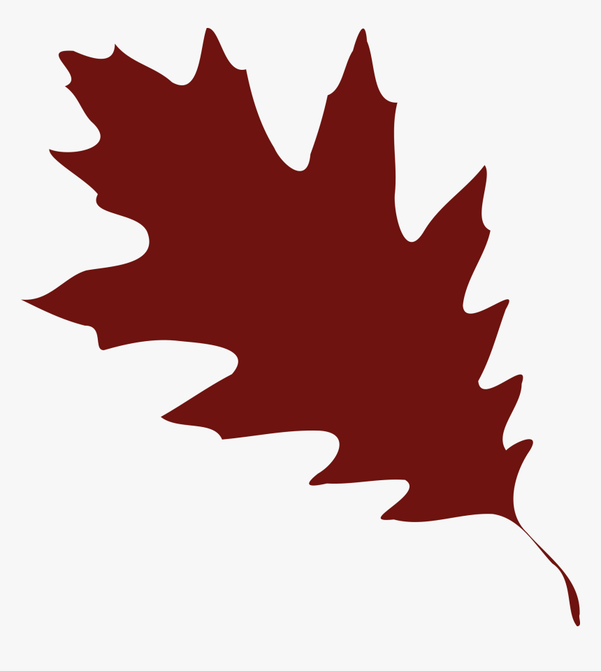 Oak, Leaf, Foliage, Greenery, Tree, Forest, Autumn - Red Oak Leaf Vector, HD Png Download