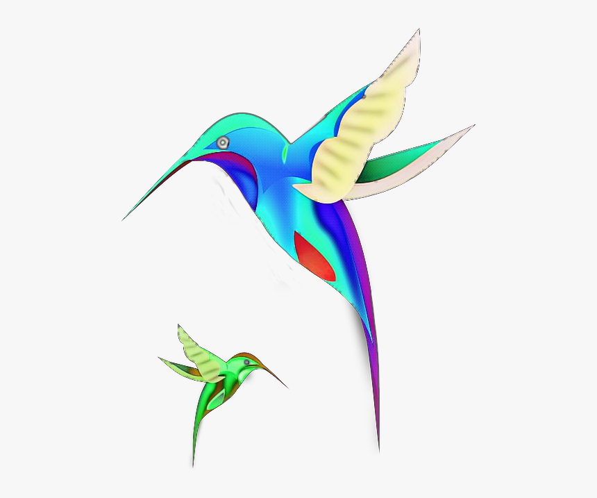 #freetoedit #colibrí #pájaros #ave #volando #bird #lovely - Coraciiformes, HD Png Download