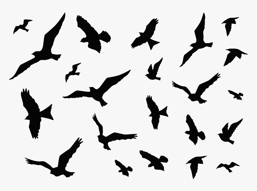 Odlatujące Ptaki, HD Png Download