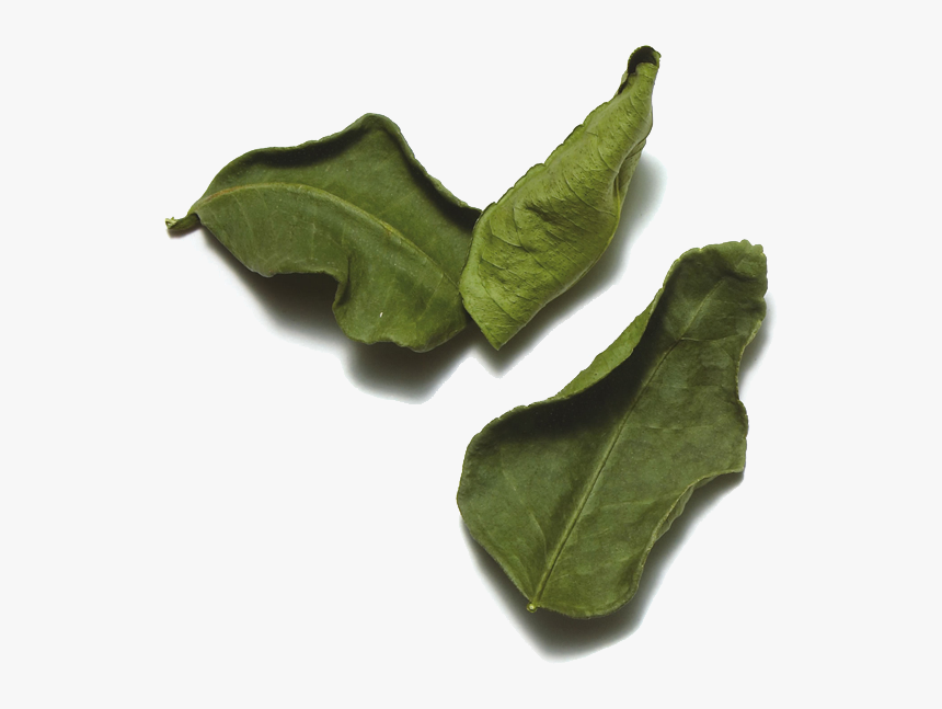 Transparent Spinach Leaf Png - Gedroogd Limoenblad, Png Download