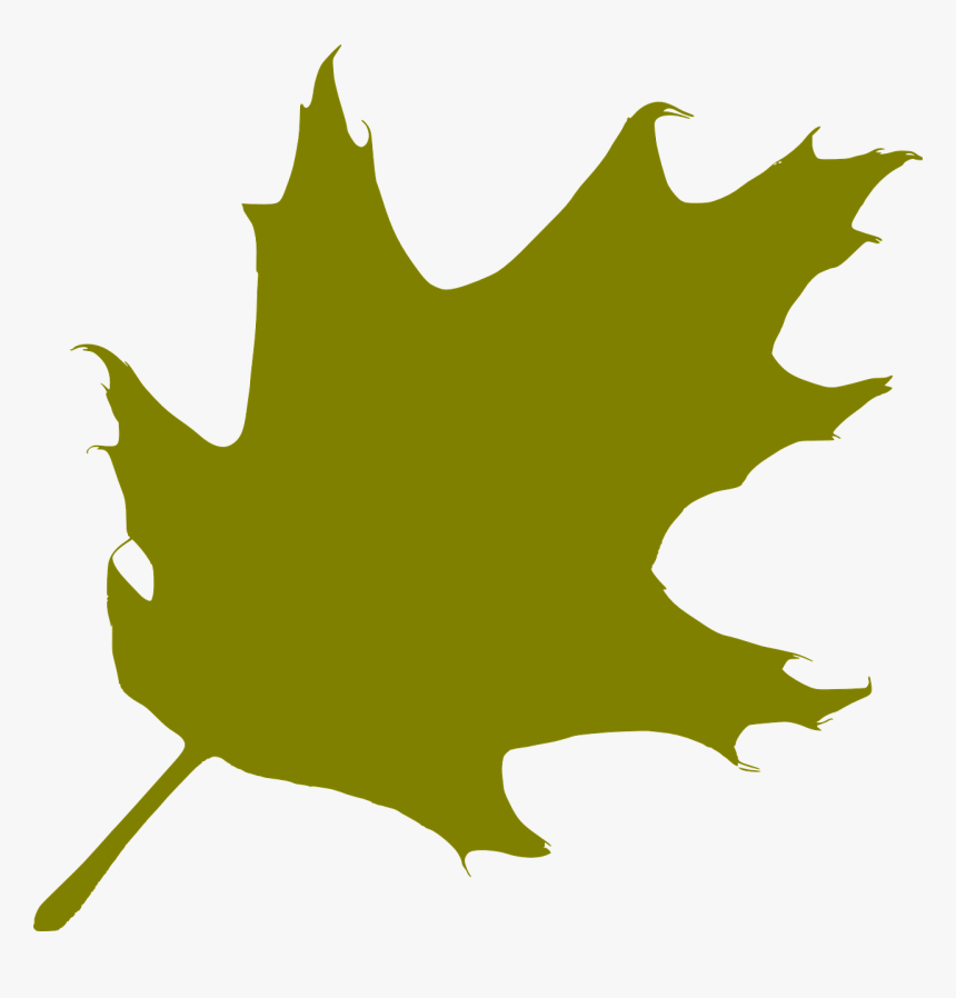 Oak, Leaf, Green, Silhouette - Silhouette Oak Leaf, HD Png Download