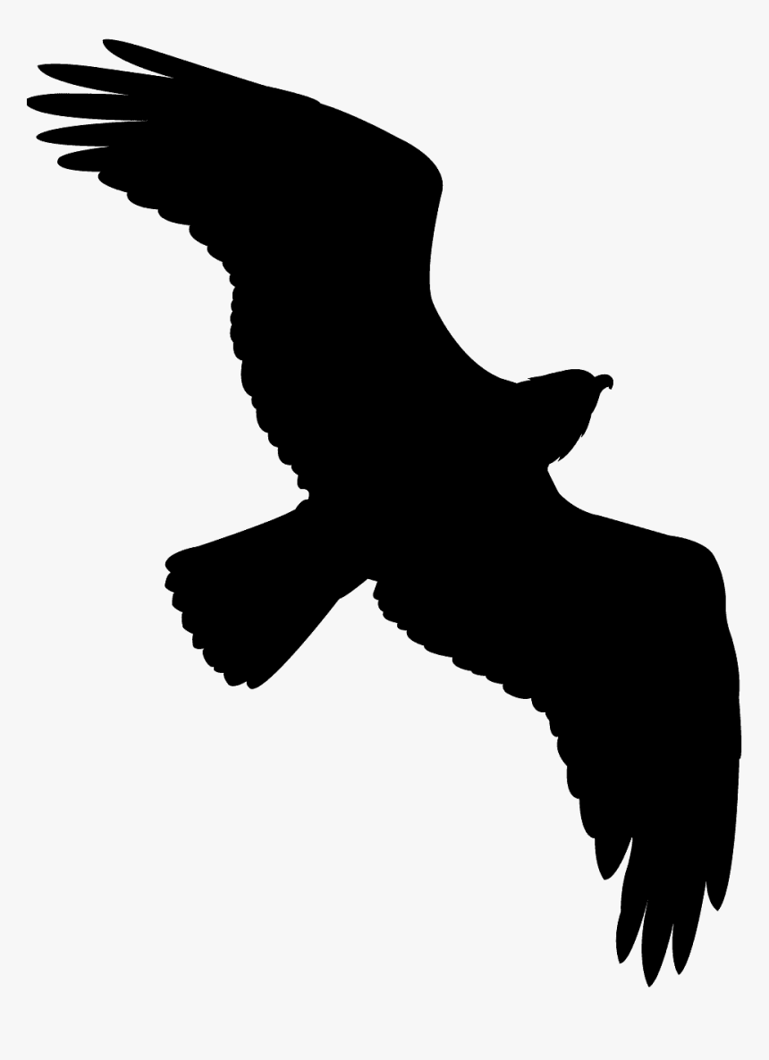 Green Bird Silhouette Flying, HD Png Download