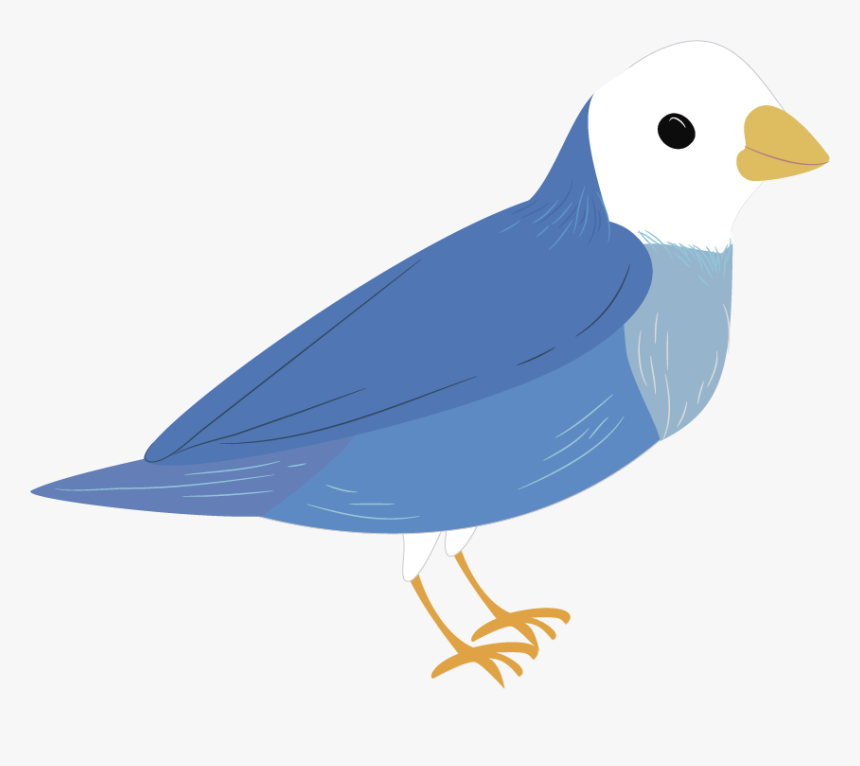 Perching Bird, HD Png Download