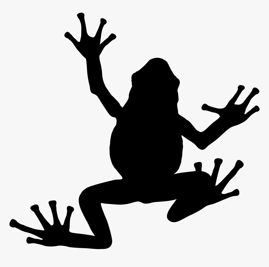 Tree Frog Silhouette Toad - Frogs Silhouette, HD Png Download
