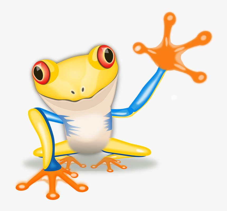 Frog, Tree Frog, Amphibian, Motorbike Frog, Animal - Tree Frog Animated, HD Png Download