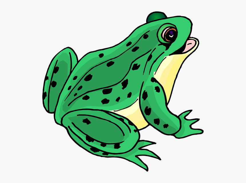 Clip Art For Teachers - Frog Clipart, HD Png Download