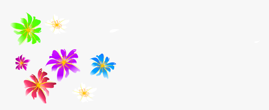 African Daisy, HD Png Download
