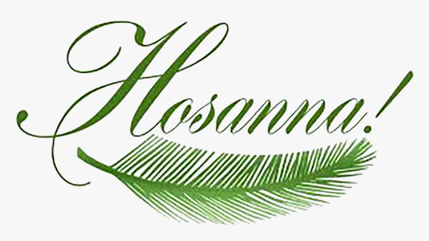 Pretty Design Clipart Palm Sunday By Sister Rose Ann - Dimanche Des Rameaux 2019, HD Png Download