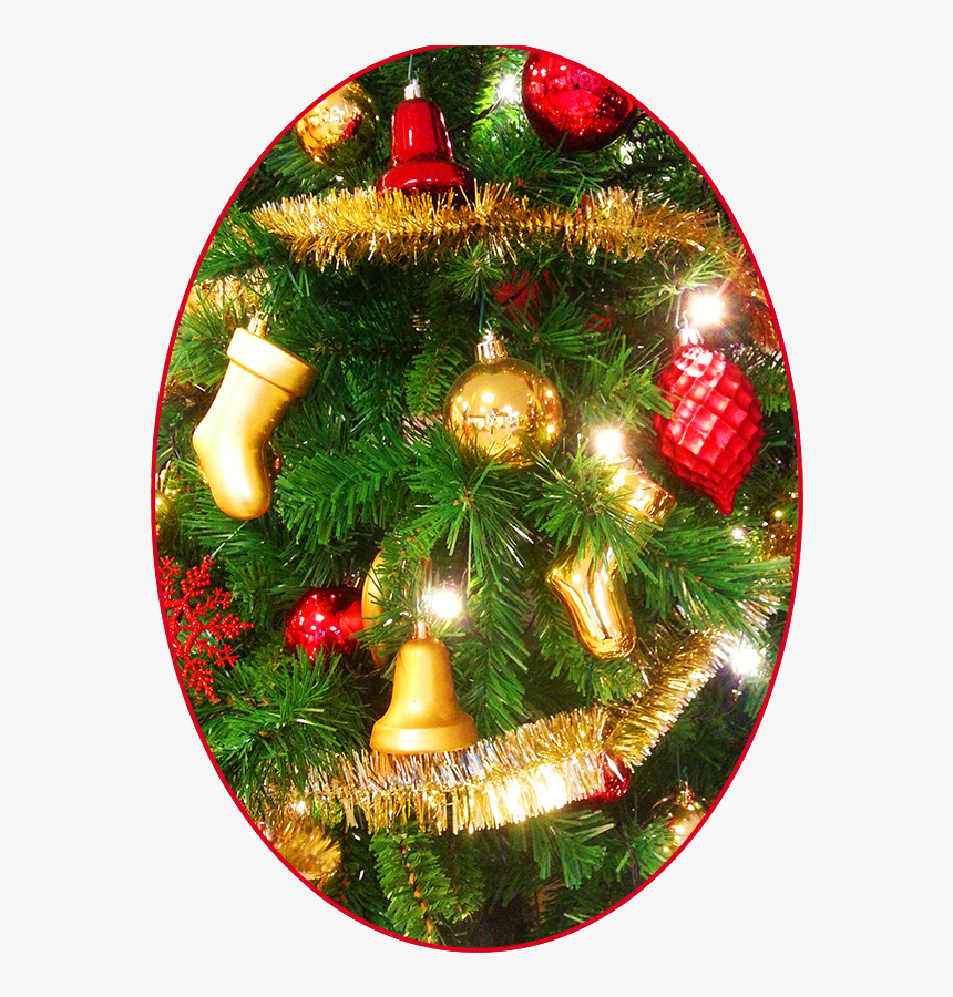 Christmas Pictures Decoration - Christmas Ornament, HD Png Download