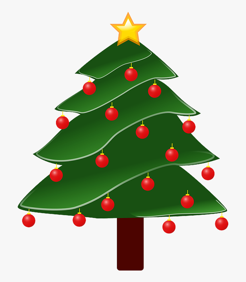 Ícone Natal Png - Christmas Trees Where Did They Come, Transparent Png