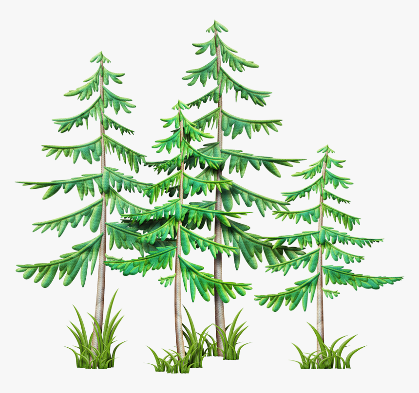 Clip Art, Camping Stuff, Branches, Pine, Mountain,, HD Png Download