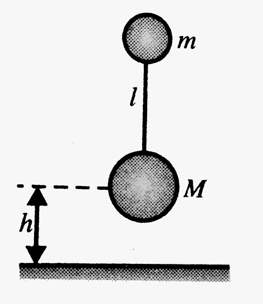 Badminton, HD Png Download