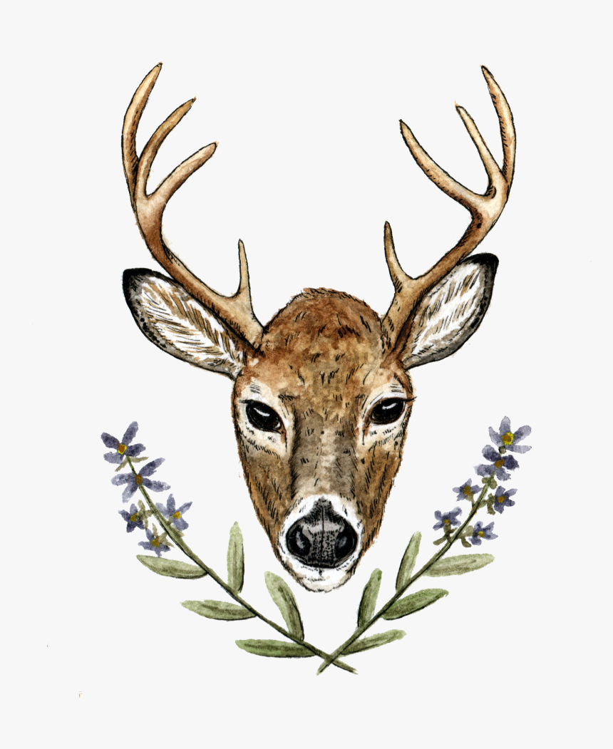 Elk, HD Png Download