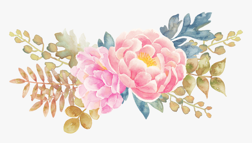 Peony Flower Watercolor Painting , Transparent Cartoons - Transparent ...