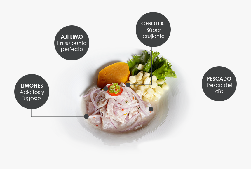 Ceviche De La Ciudad De Pisco, HD Png Download