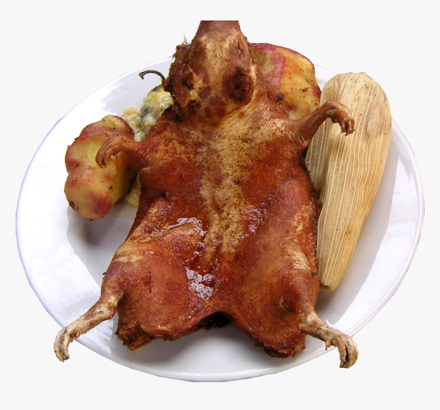Cuy Chactado Png, Transparent Png