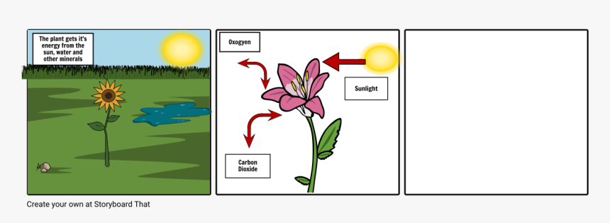 Iris, HD Png Download