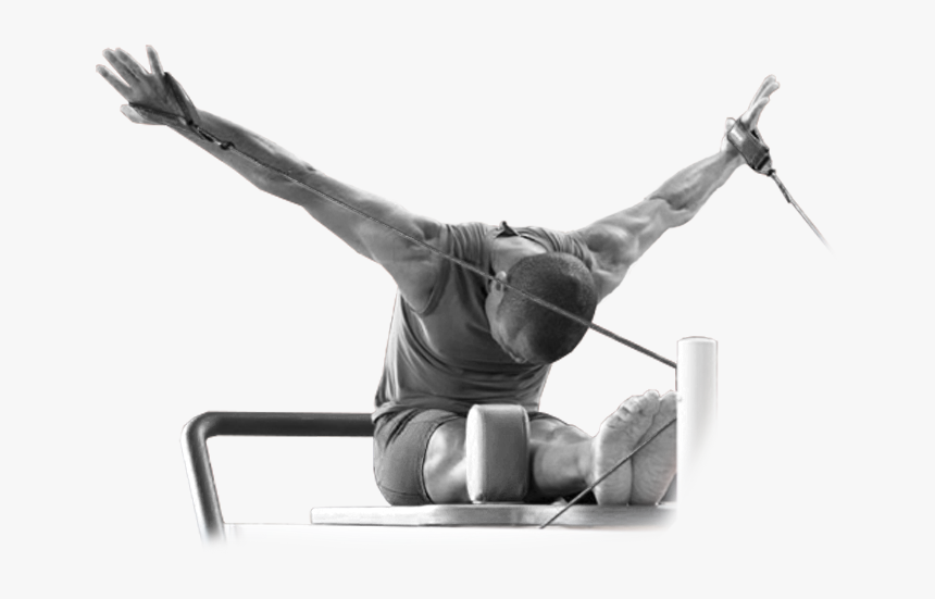Willow Tree Pilates - Gymnast, HD Png Download