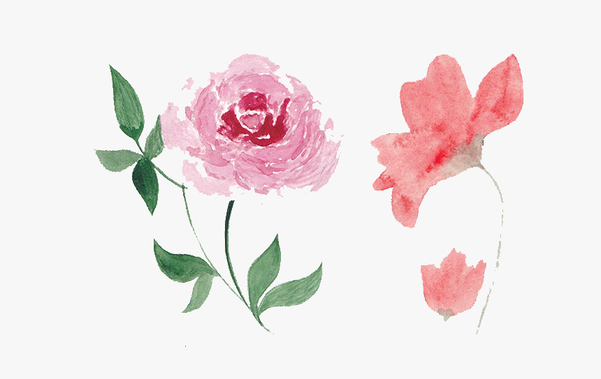 Flower,pink,watercolor Paint,common Peony,flowering - Pink Flowers Watercolor Png, Transparent Png