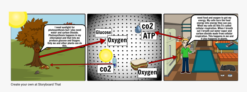 Cartoon, HD Png Download