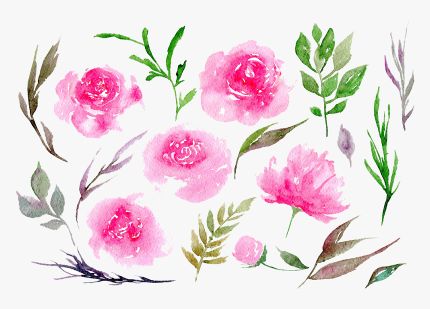 #ftestickers #watercolor #flowers #peonies #pink - Pink Peonies Watercolor Png, Transparent Png
