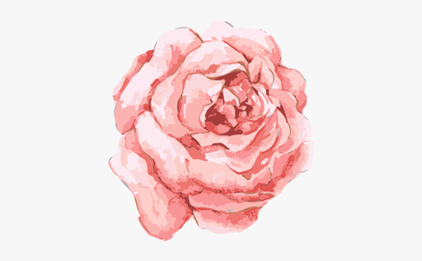 Pink Watercolor Flower Png, Transparent Png