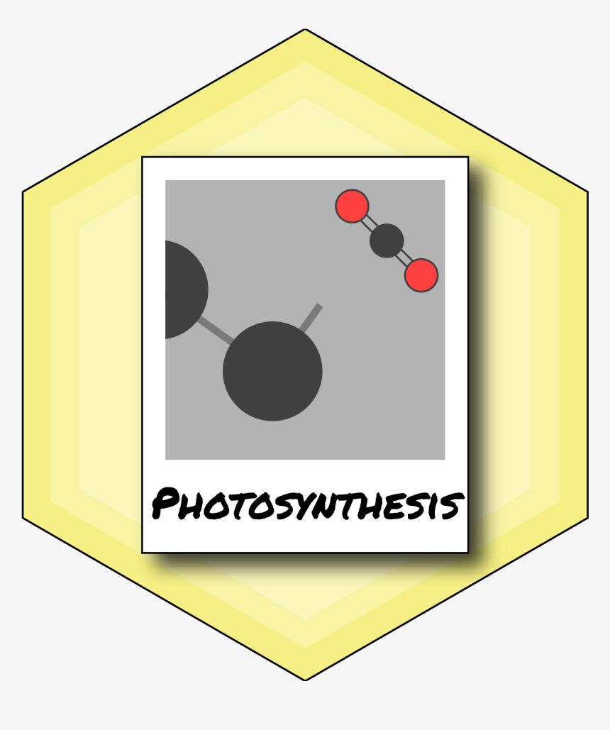 Cashless, HD Png Download