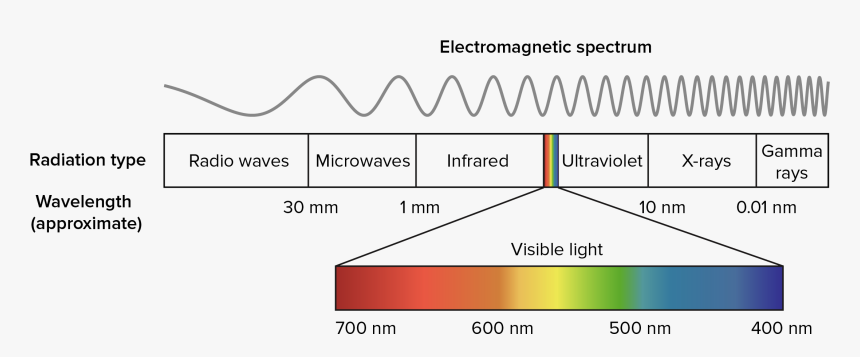 Wavelengths Of Light, HD Png Download